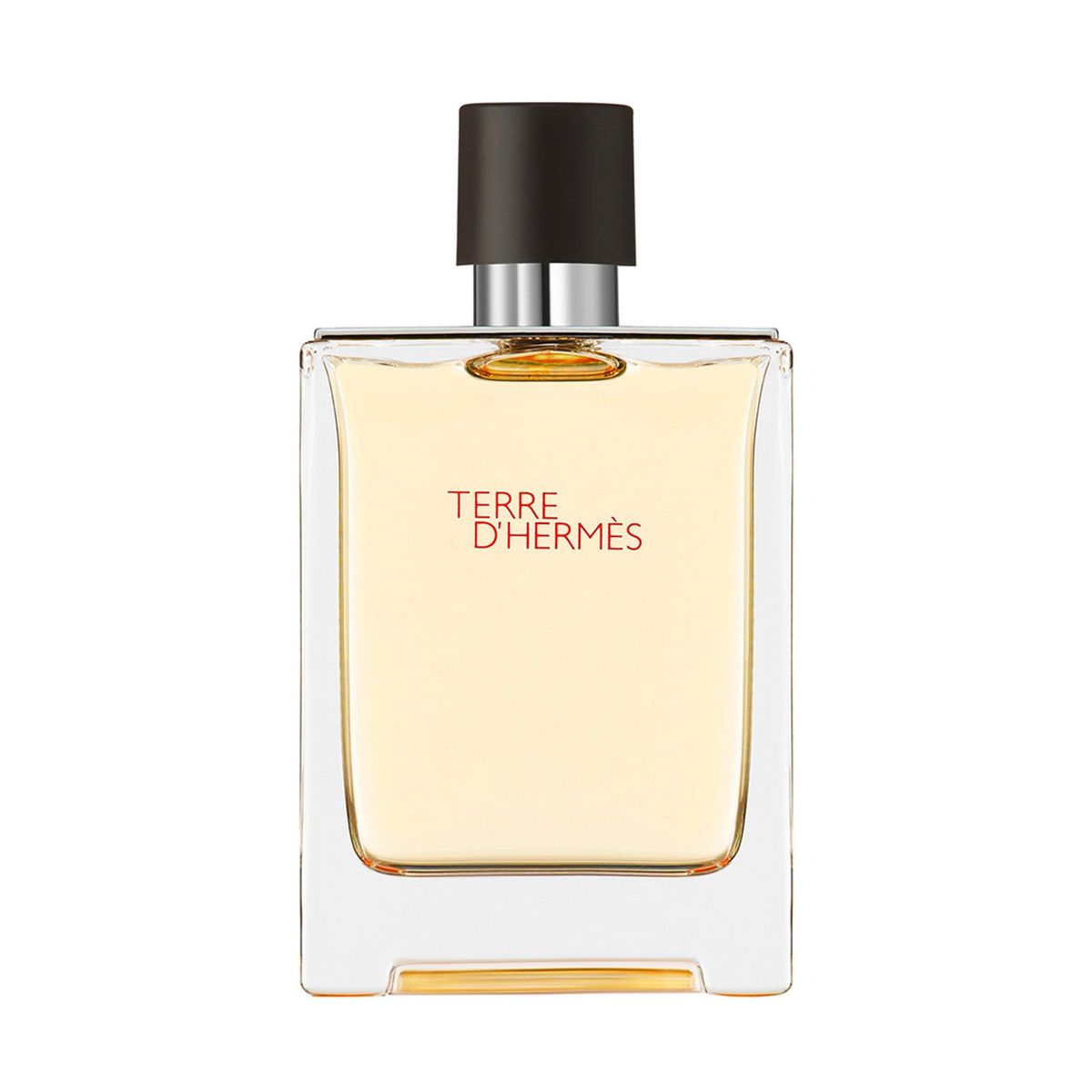 HERMES TERRE D HERMES M EDT 100 MLSP
